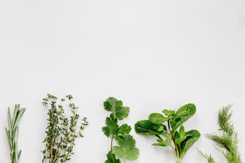 Herbs