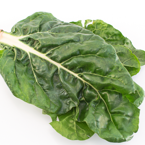 Spinach Silverbeet Bunch