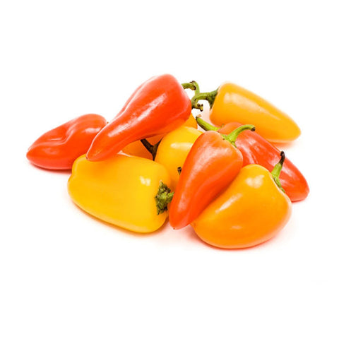 Capsicum Baby Mixed 175g