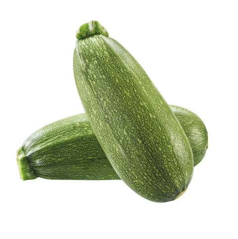 Zucchini Grey ea