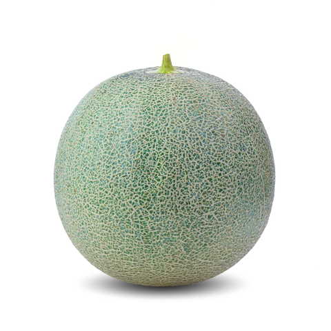 Rockmelon ea