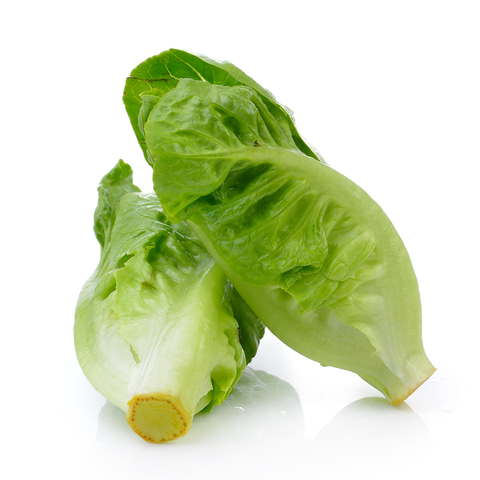 Lettuce Cos Baby Twin Pack