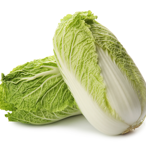 Cabbage Chinese Wombok ea