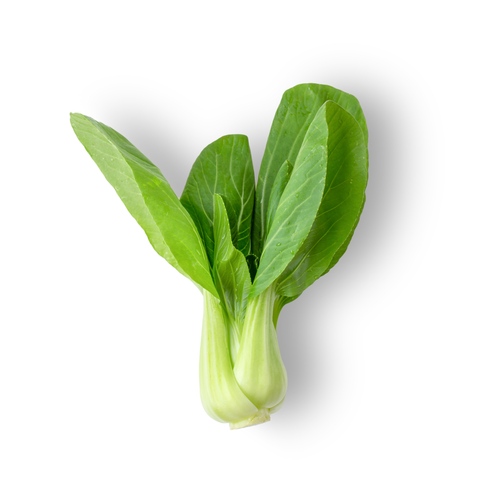 Bok Choy Bunch