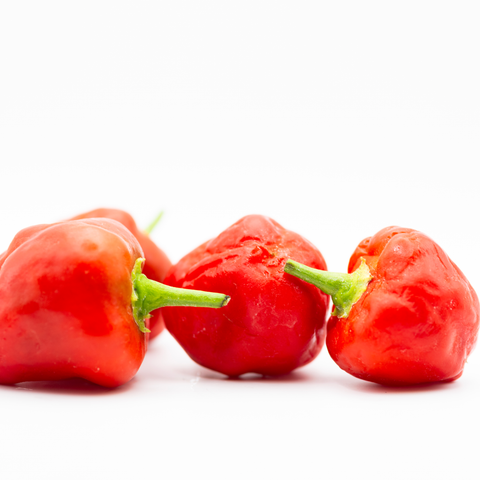 Chilli Habanero 100g