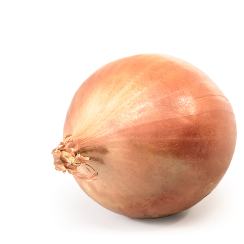 Onion Brown ea