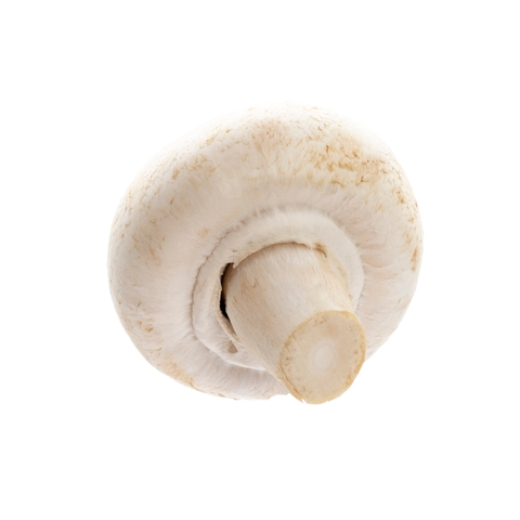 Mushroom Cups 500g