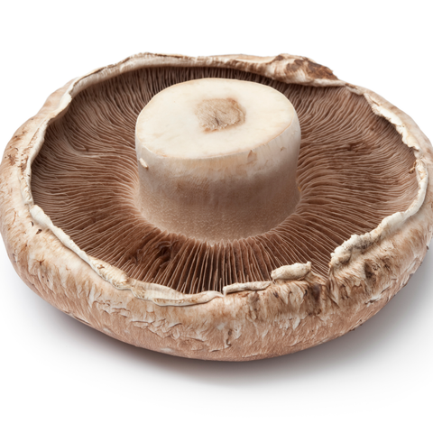 Mushroom Flat 375g