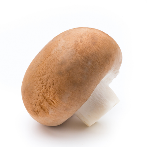 Mushroom Swiss Brown 200g