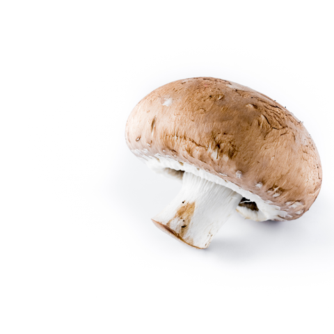 Mushroom Shiitake 100g