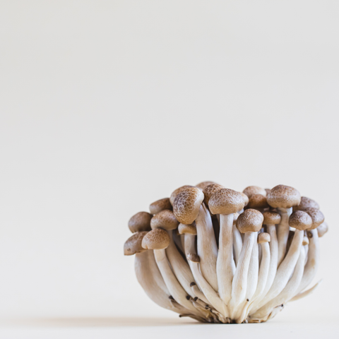 Mushroom Sheimeji 150g