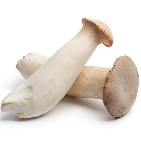 Mushroom King Oyster 200g