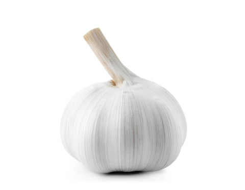 Garlic Premium ea