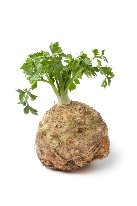 Celeriac ea