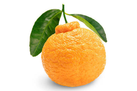 Mandarin Sumo ea